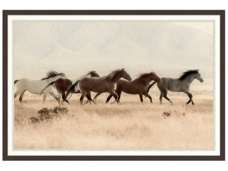 Wild Horses Hot on Sale